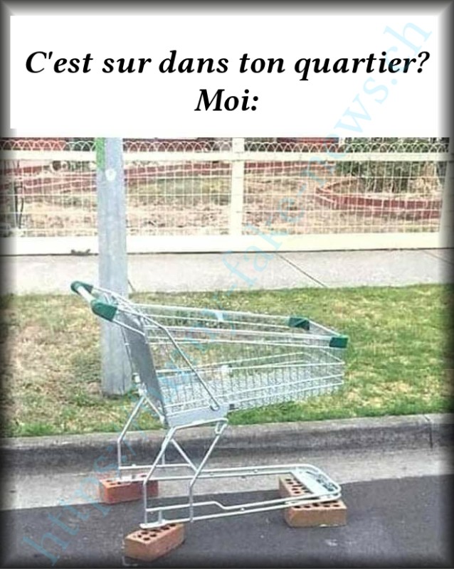 ffn_caddy.jpg (308.19 Kio) Consulté 165150 fois ffn_caddy.jpg