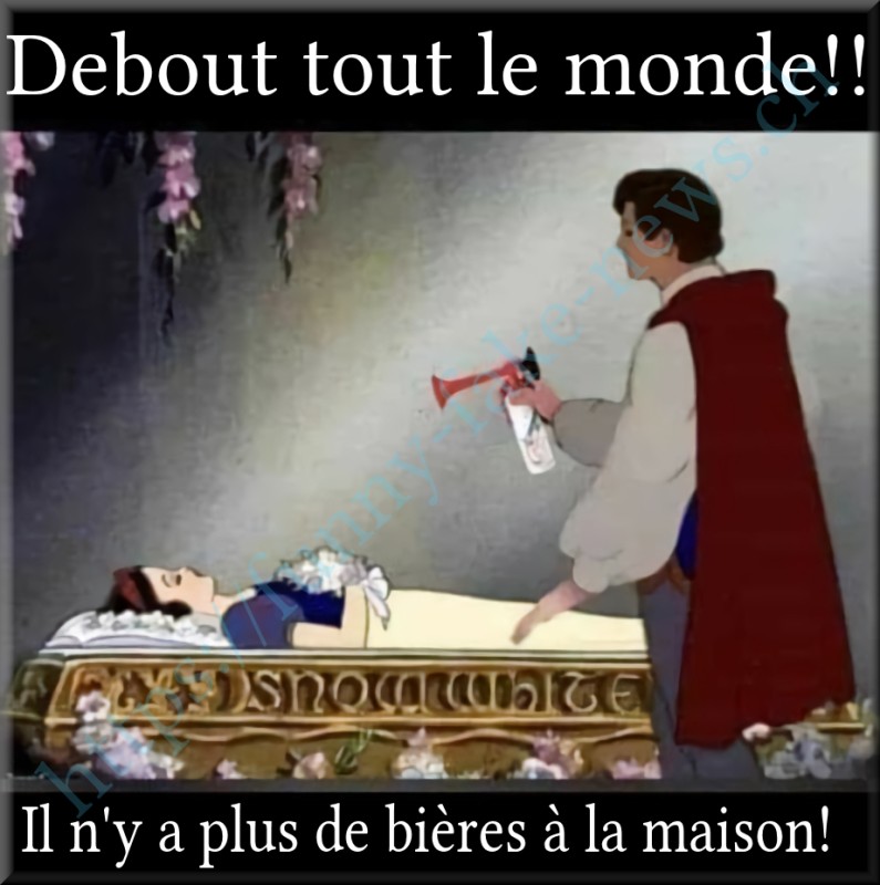 ffn_bieres.jpg (426.76 Kio) Consulté 186256 fois ffn_bieres.jpg